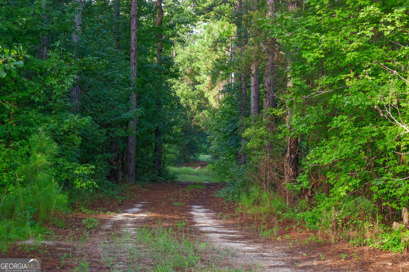 1362 Doyle Road Sardis - Photo 16