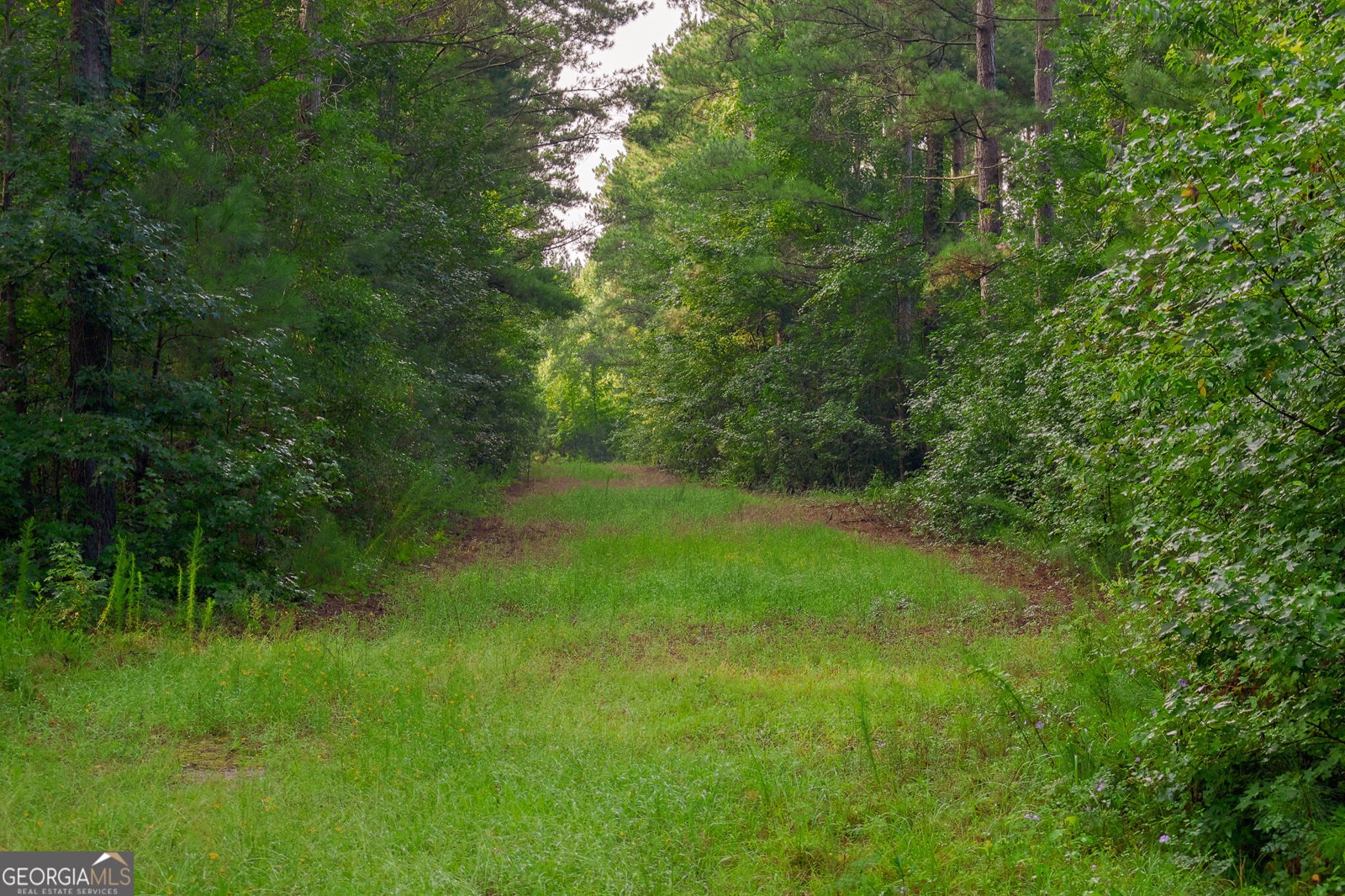 1362 Doyle Road Sardis - Photo 17