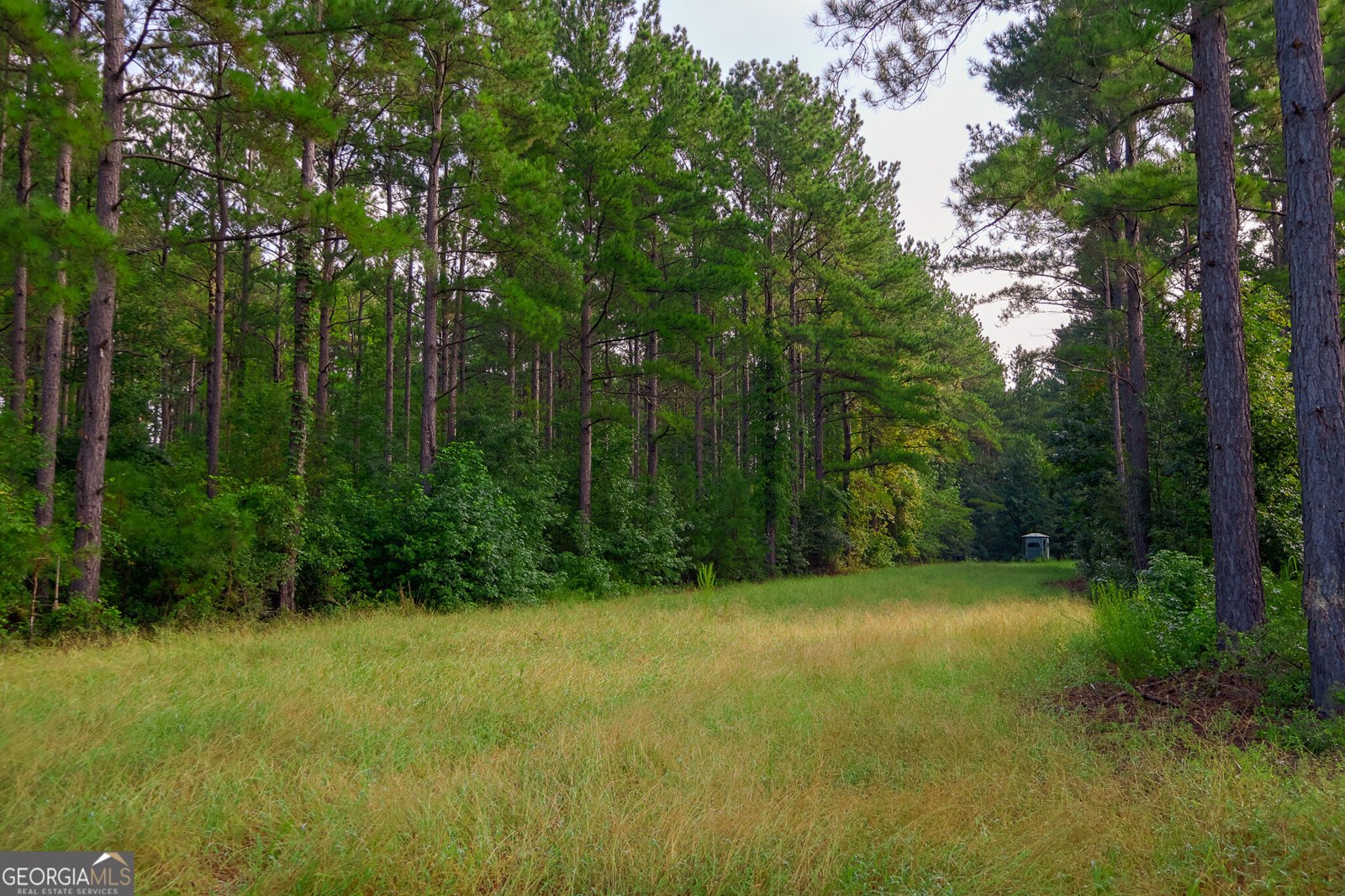 1362 Doyle Road Sardis - Photo 20