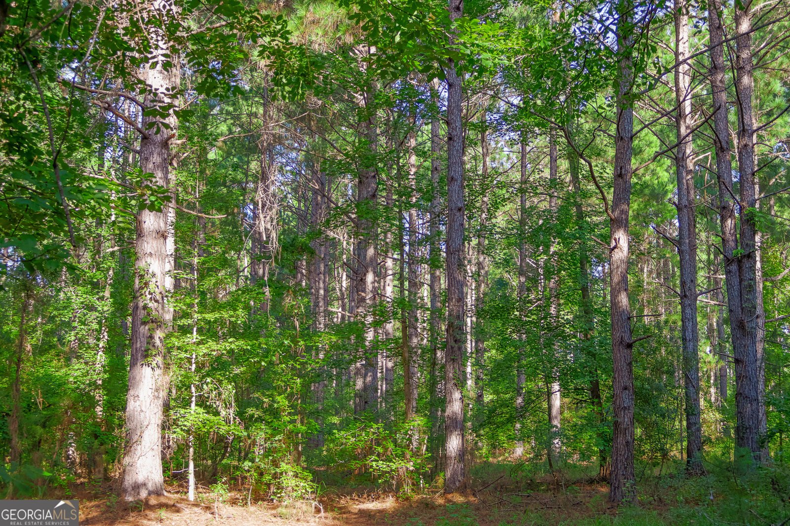 1362 Doyle Road Sardis - Photo 23