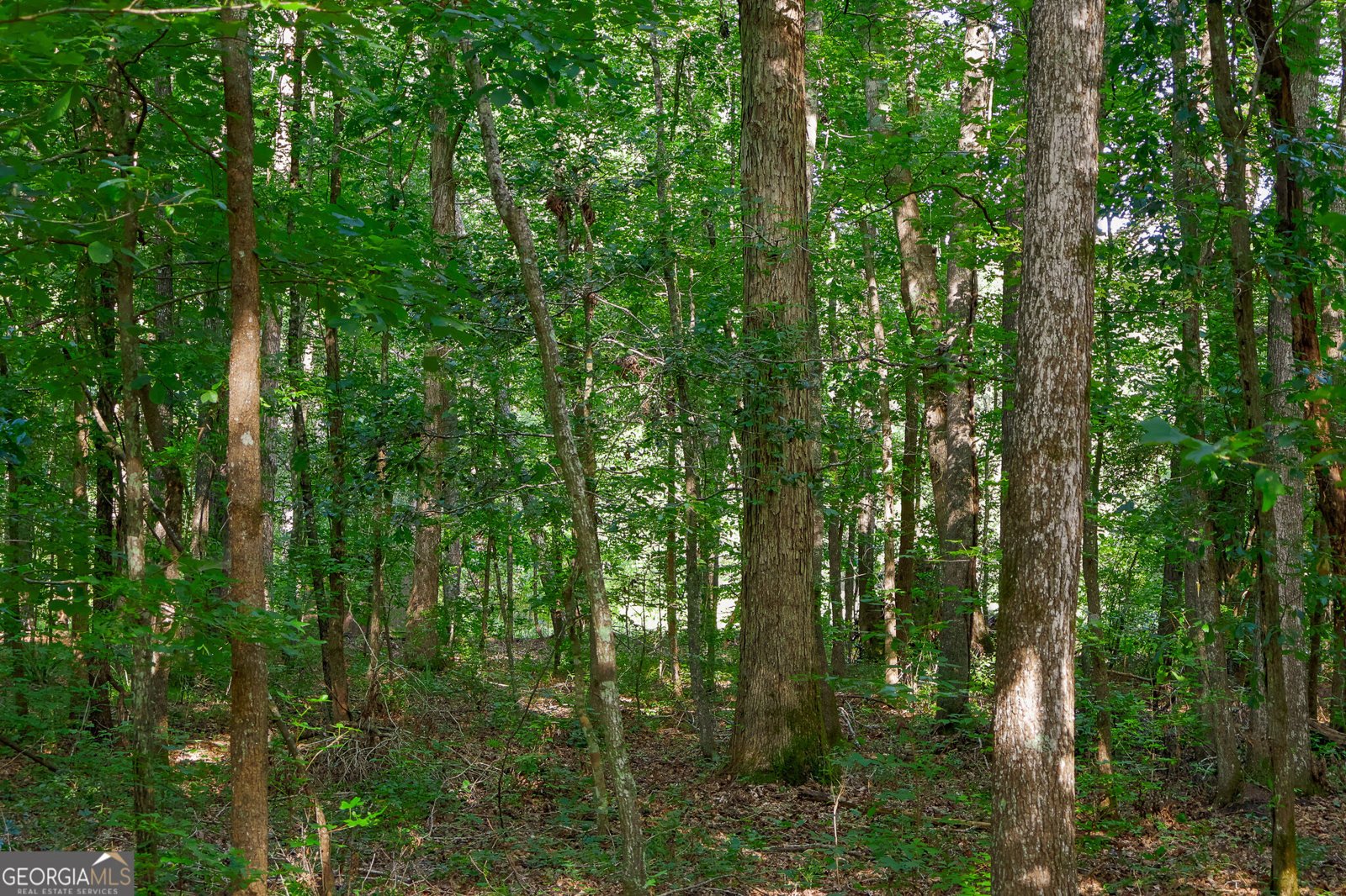 1362 Doyle Road Sardis - Photo 26