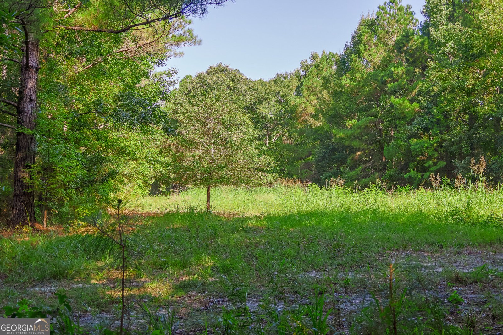 1362 Doyle Road Sardis - Photo 29