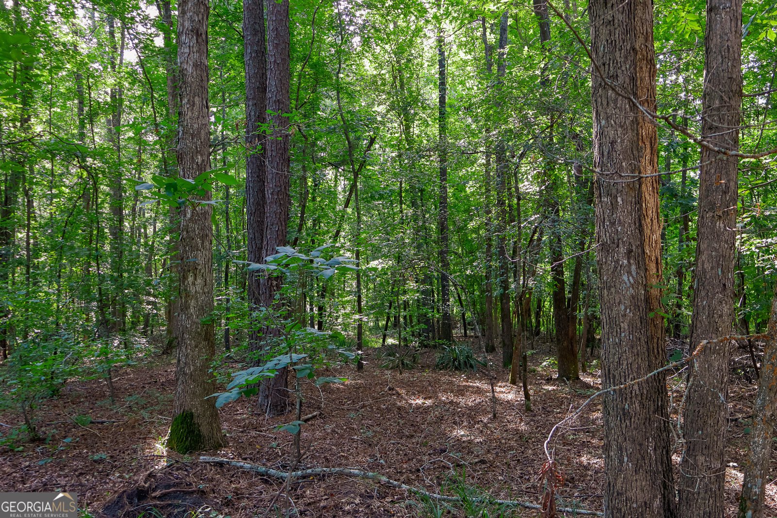 1362 Doyle Road Sardis - Photo 30