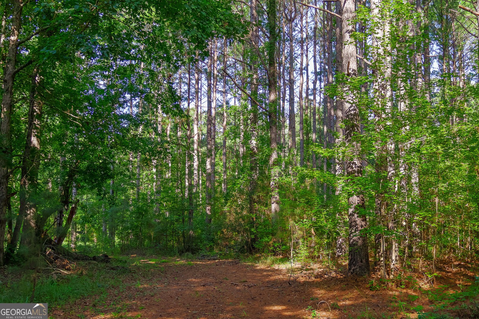 1362 Doyle Road Sardis - Photo 31