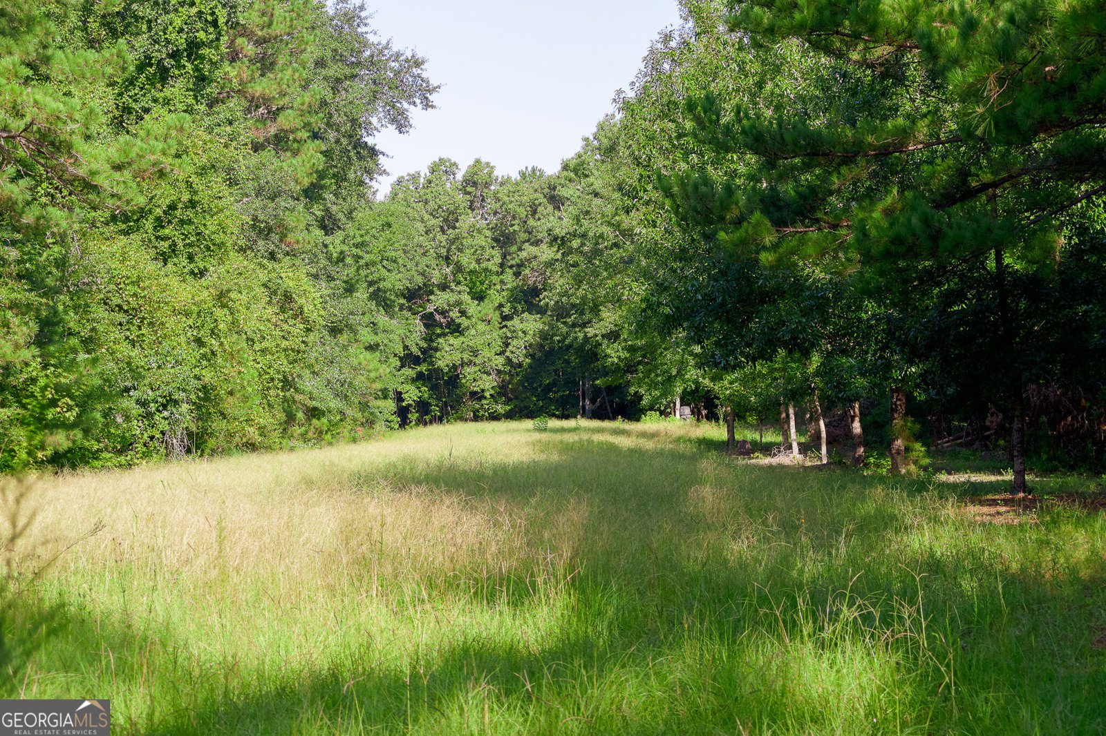 1362 Doyle Road Sardis - Photo 32
