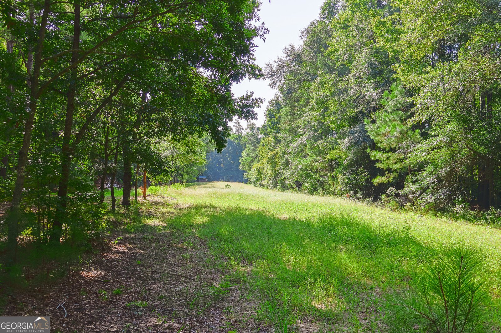 1362 Doyle Road Sardis - Photo 35