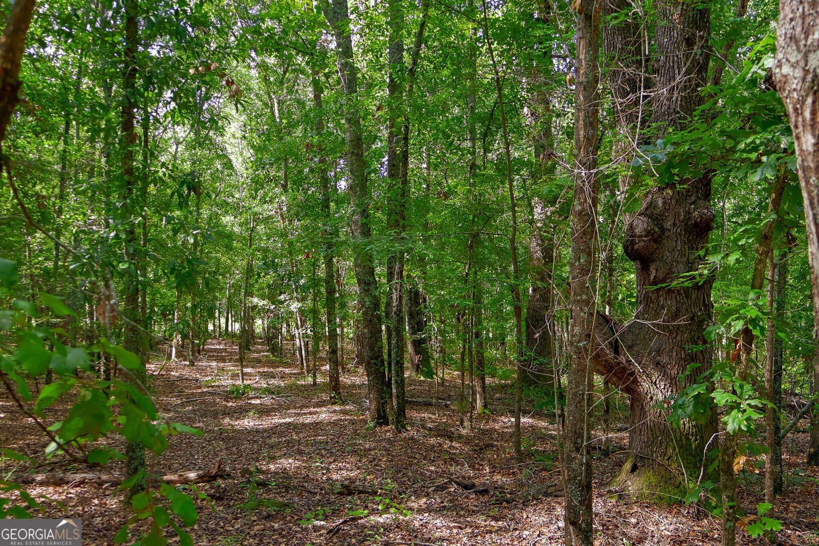1362 Doyle Road Sardis - Photo 41