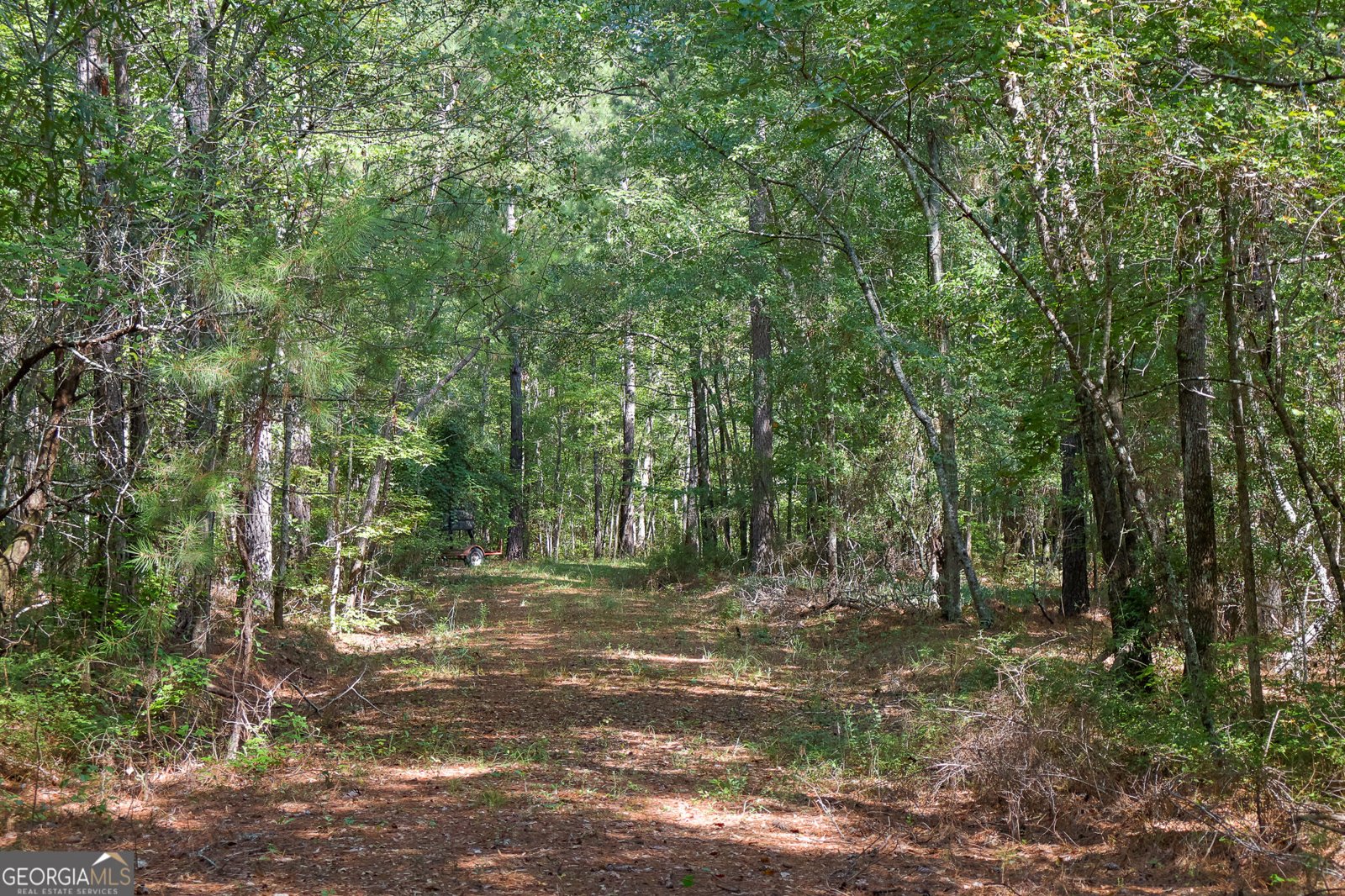 1362 Doyle Road Sardis - Photo 43