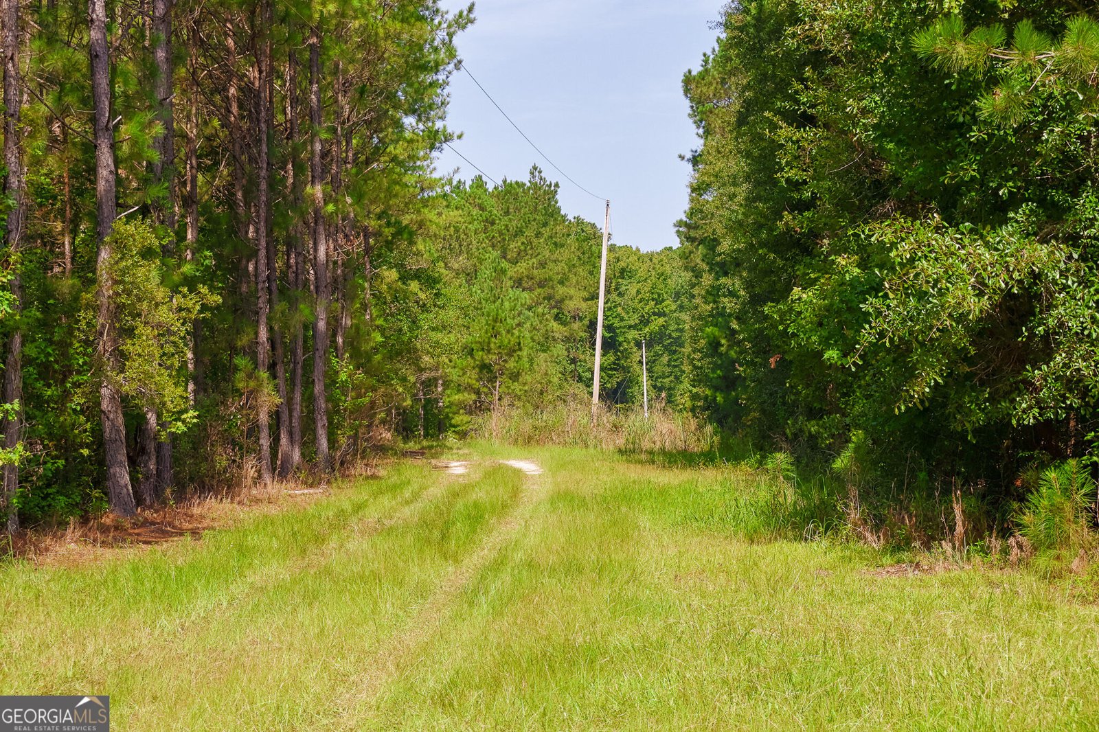 1362 Doyle Road Sardis - Photo 44