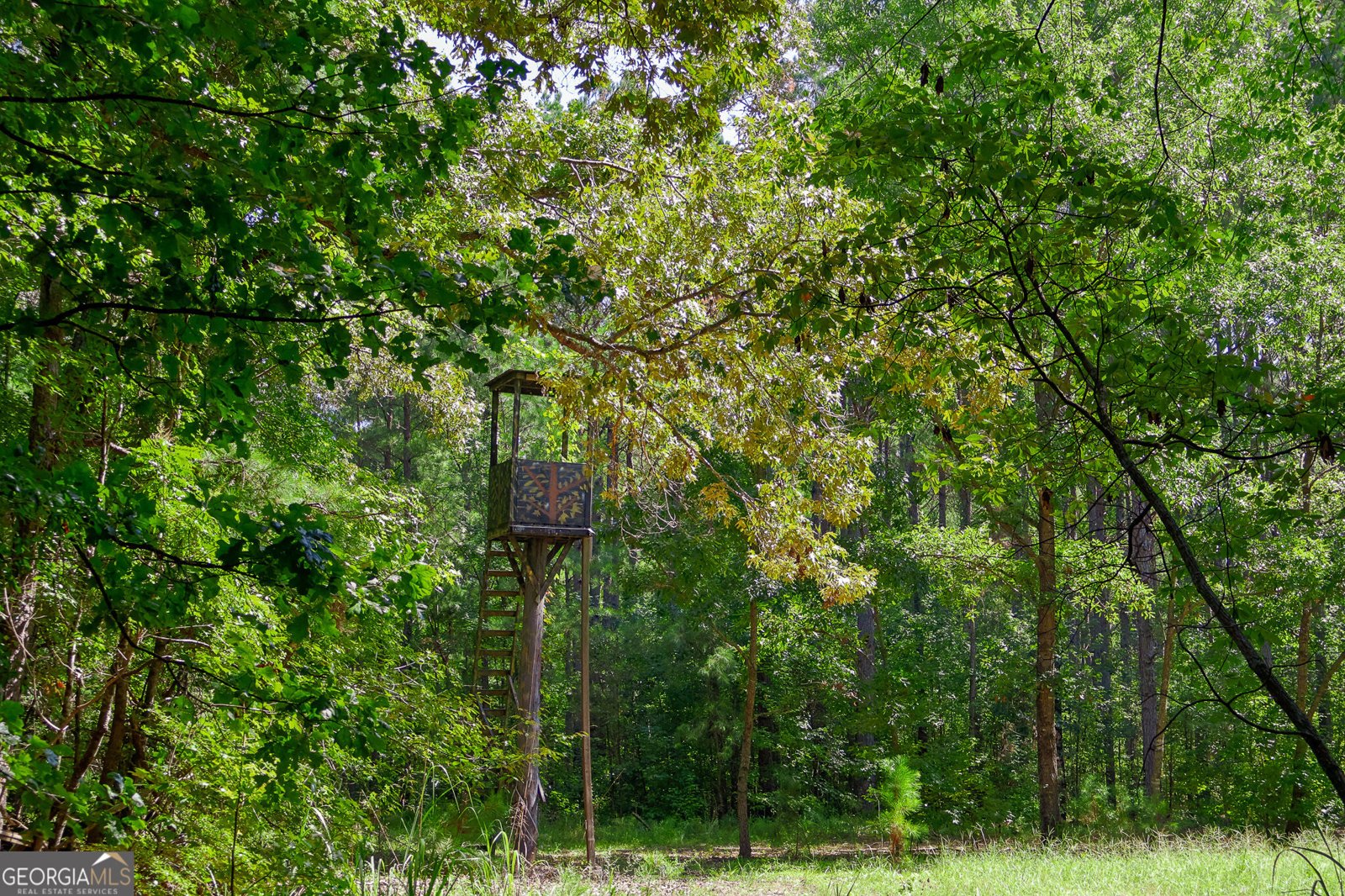 1362 Doyle Road Sardis - Photo 6