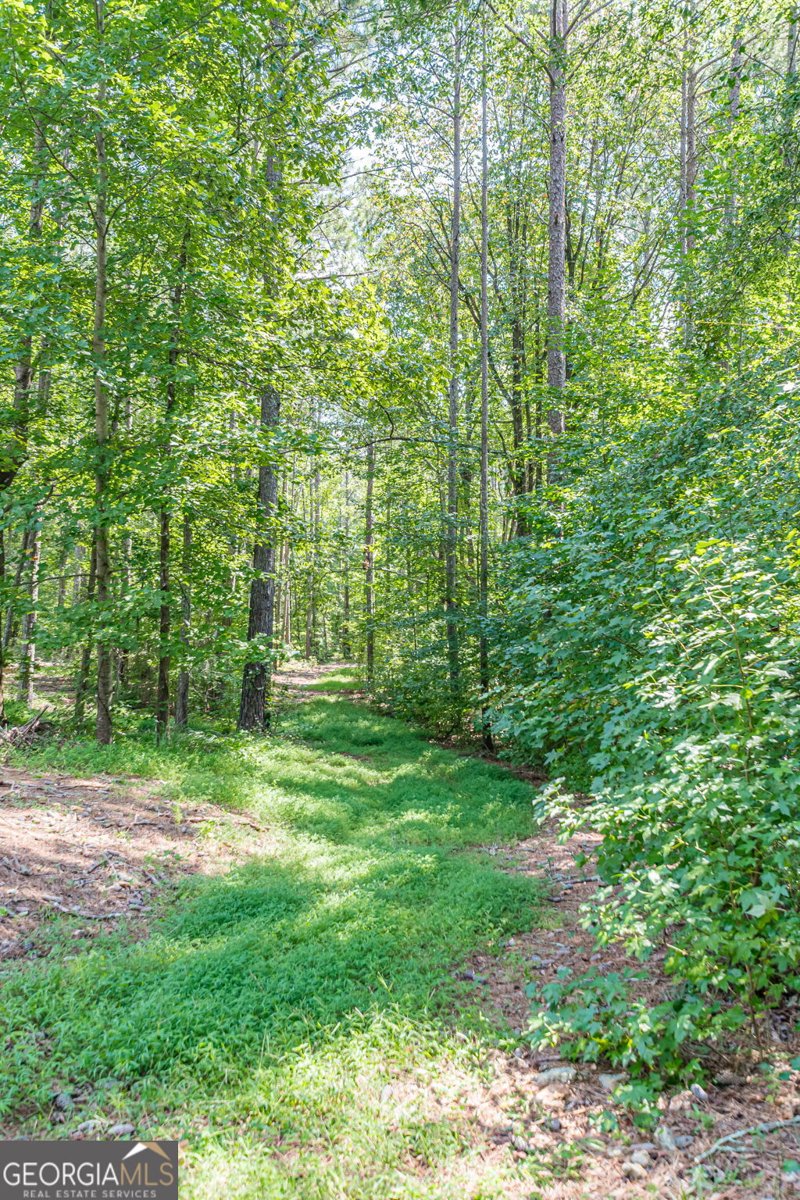 9667 Ephesus Church Road Villa Rica - Photo 46