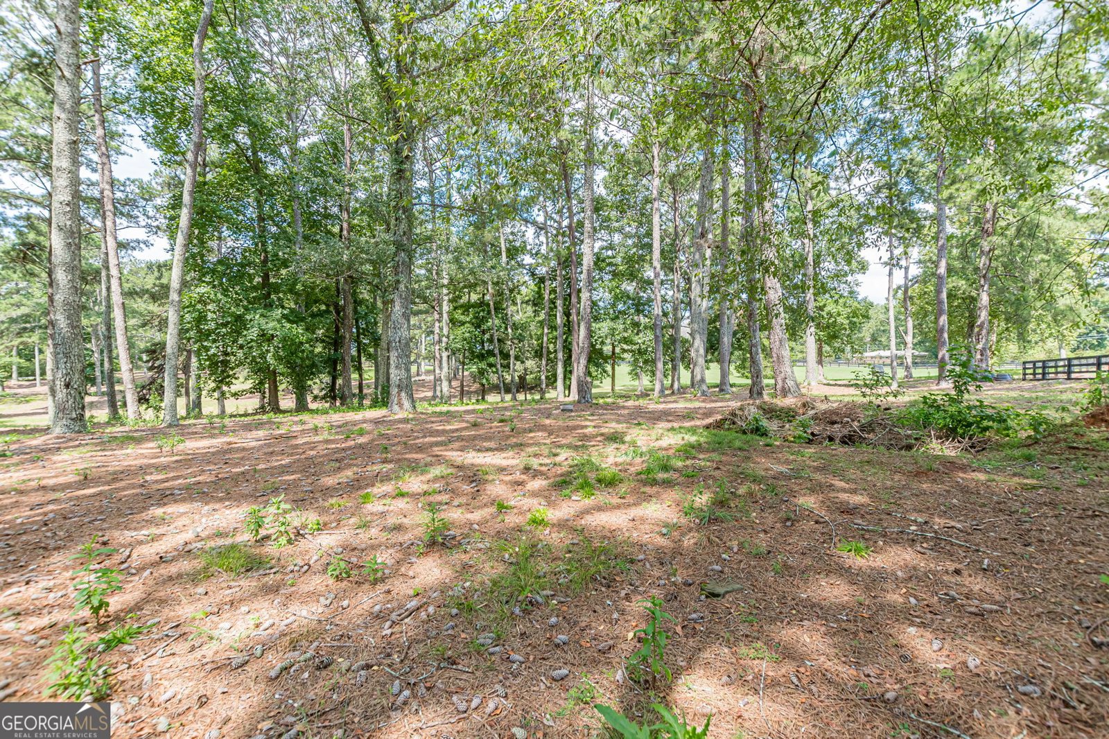 9667 Ephesus Church Road Villa Rica - Photo 68