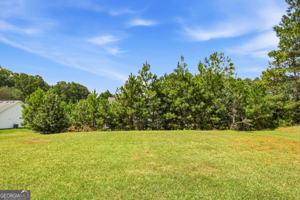 4387 Wheaton Way Snellville - Photo 27