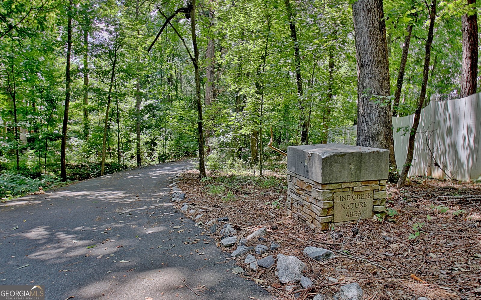 1020 Patina Point Peachtree City - Photo 71
