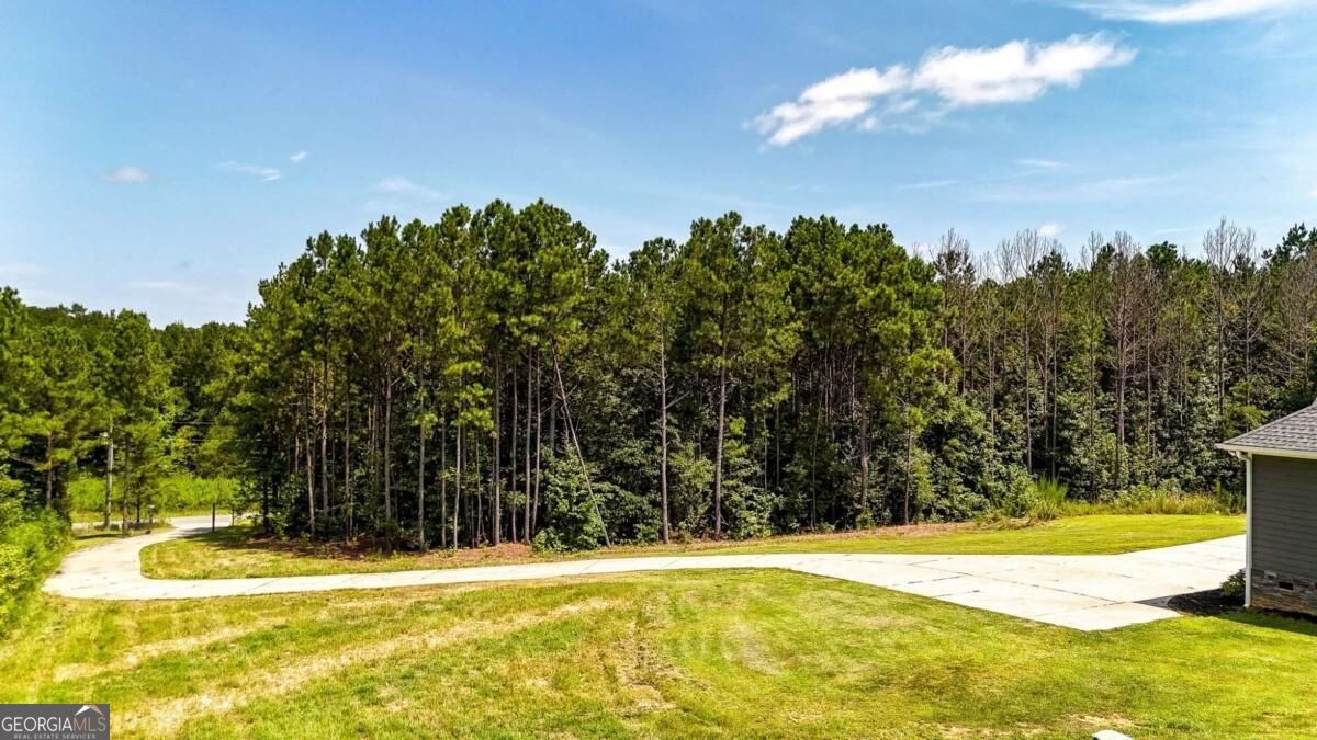 368 Pine Road Rockmart - Photo 62