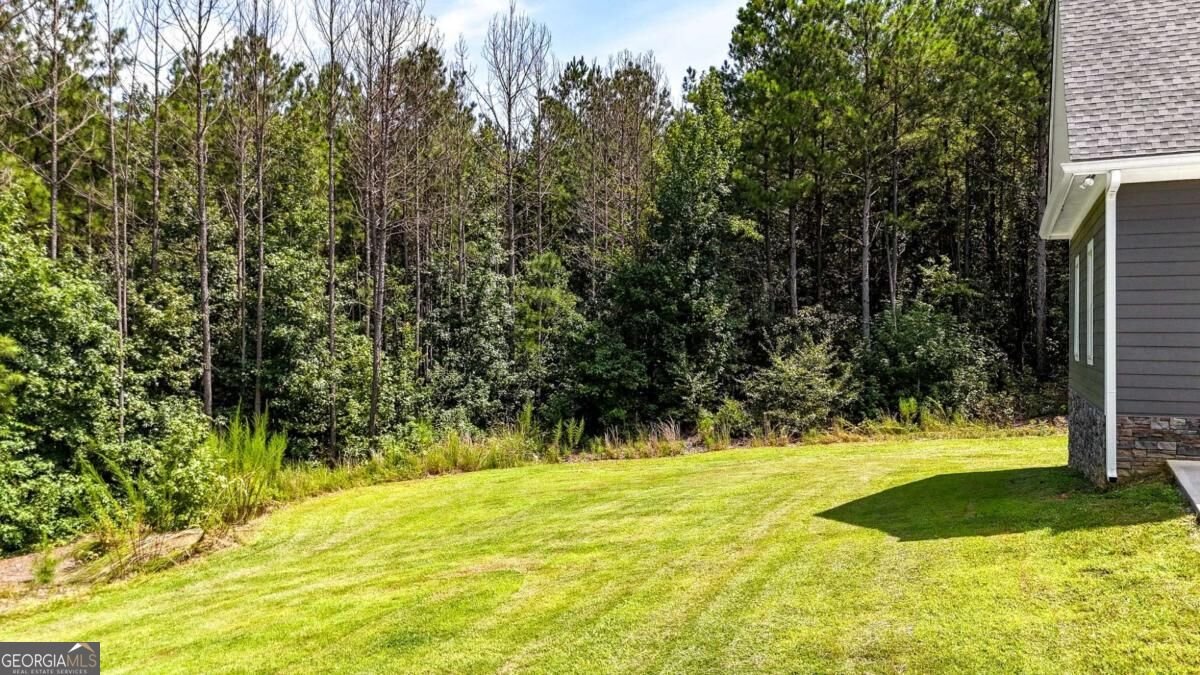 368 Pine Road Rockmart - Photo 64