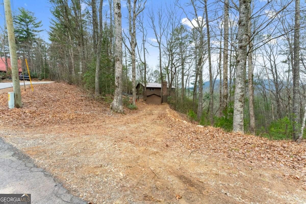 279 Cindy Cove Road Blairsville - Photo 41