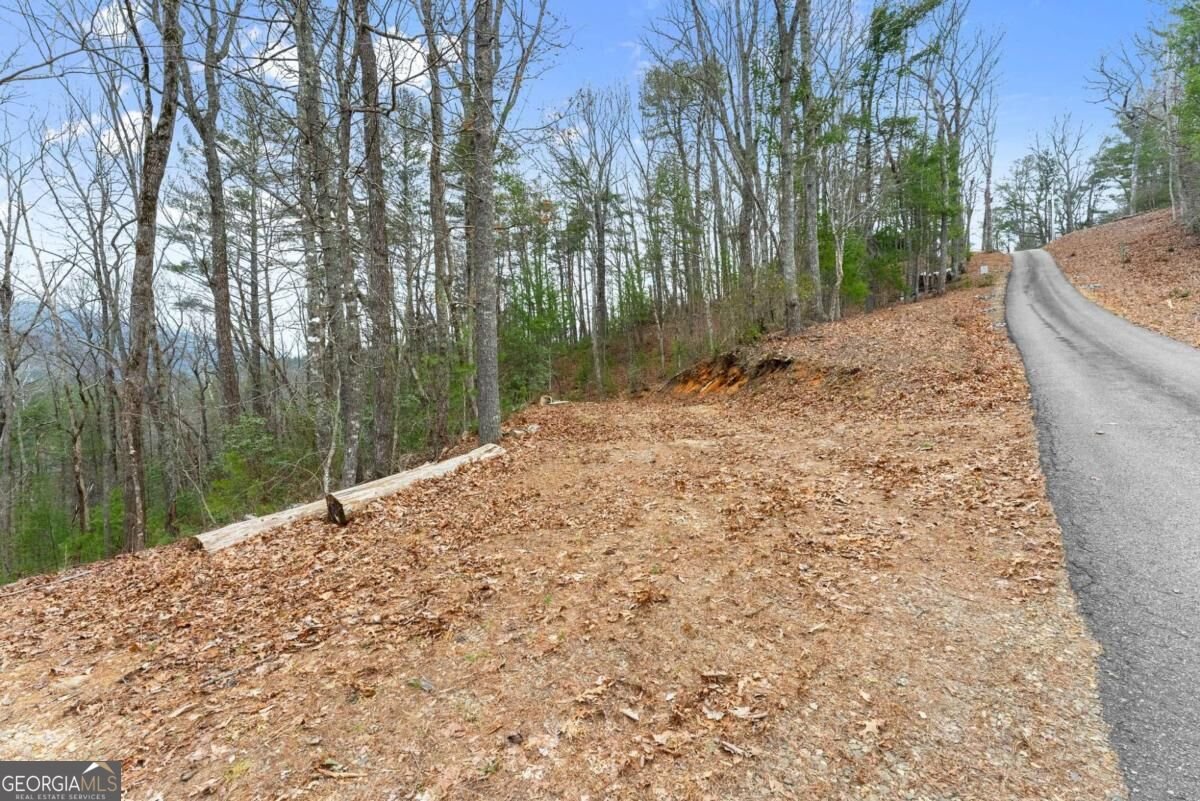 279 Cindy Cove Road Blairsville - Photo 44