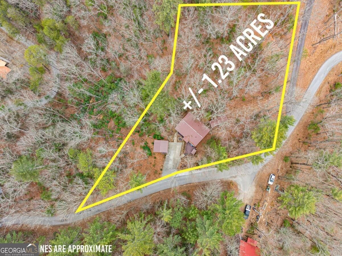 279 Cindy Cove Road Blairsville - Photo 45