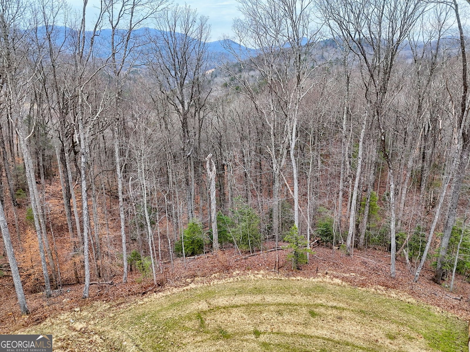 804 Settlers Ridge Road Ellijay - Photo 99