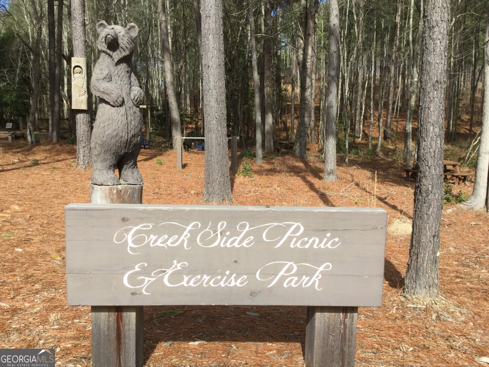 1424 Ridge Pointe Way Blairsville - Photo 109