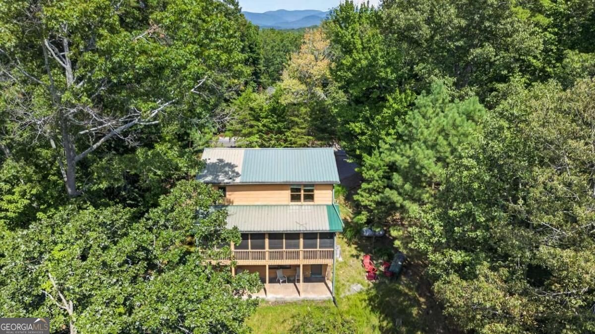 388 Palisade Drive Ellijay - Photo 56
