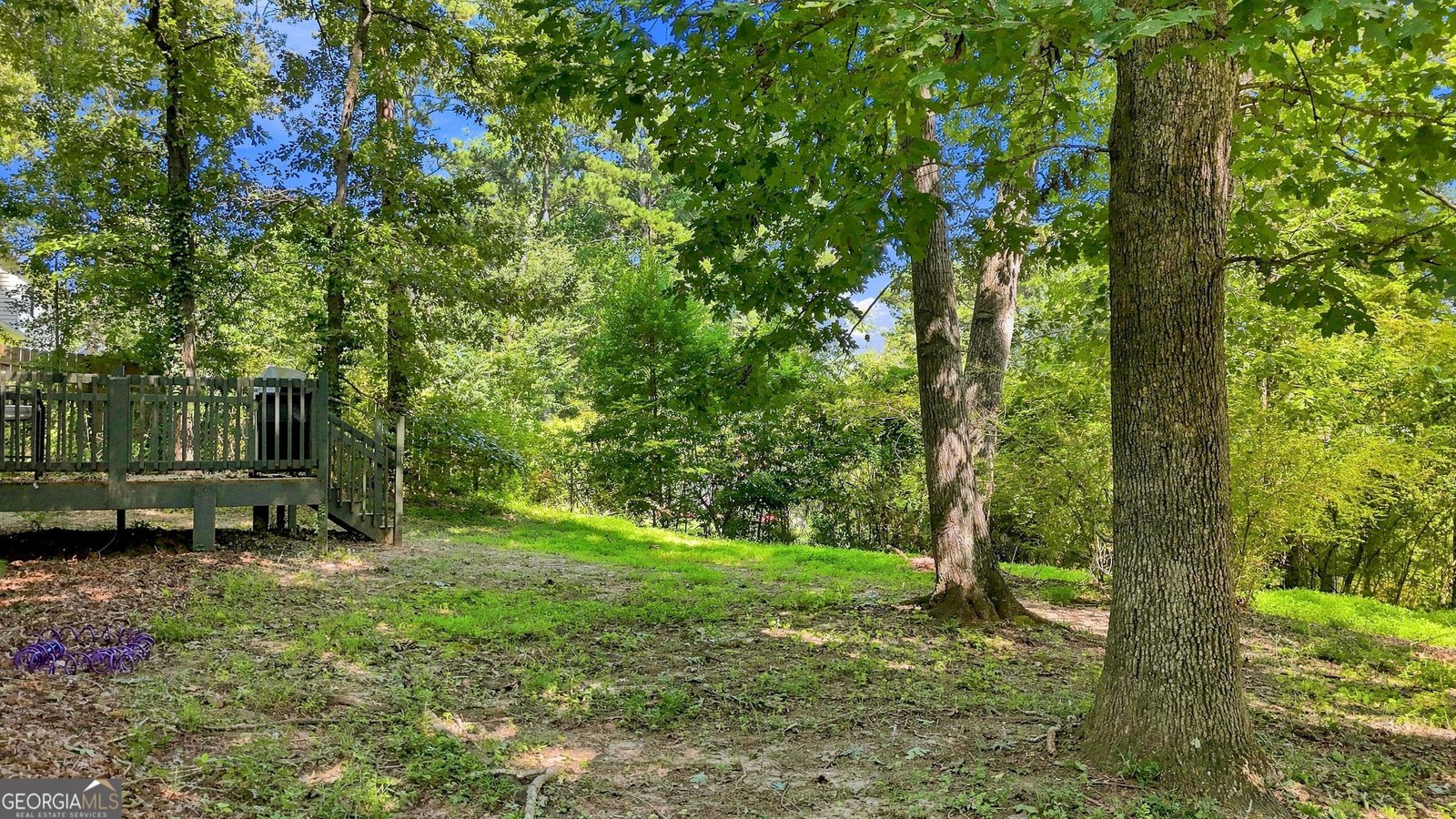 2313 Ivy Crest Drive Buford - Photo 26