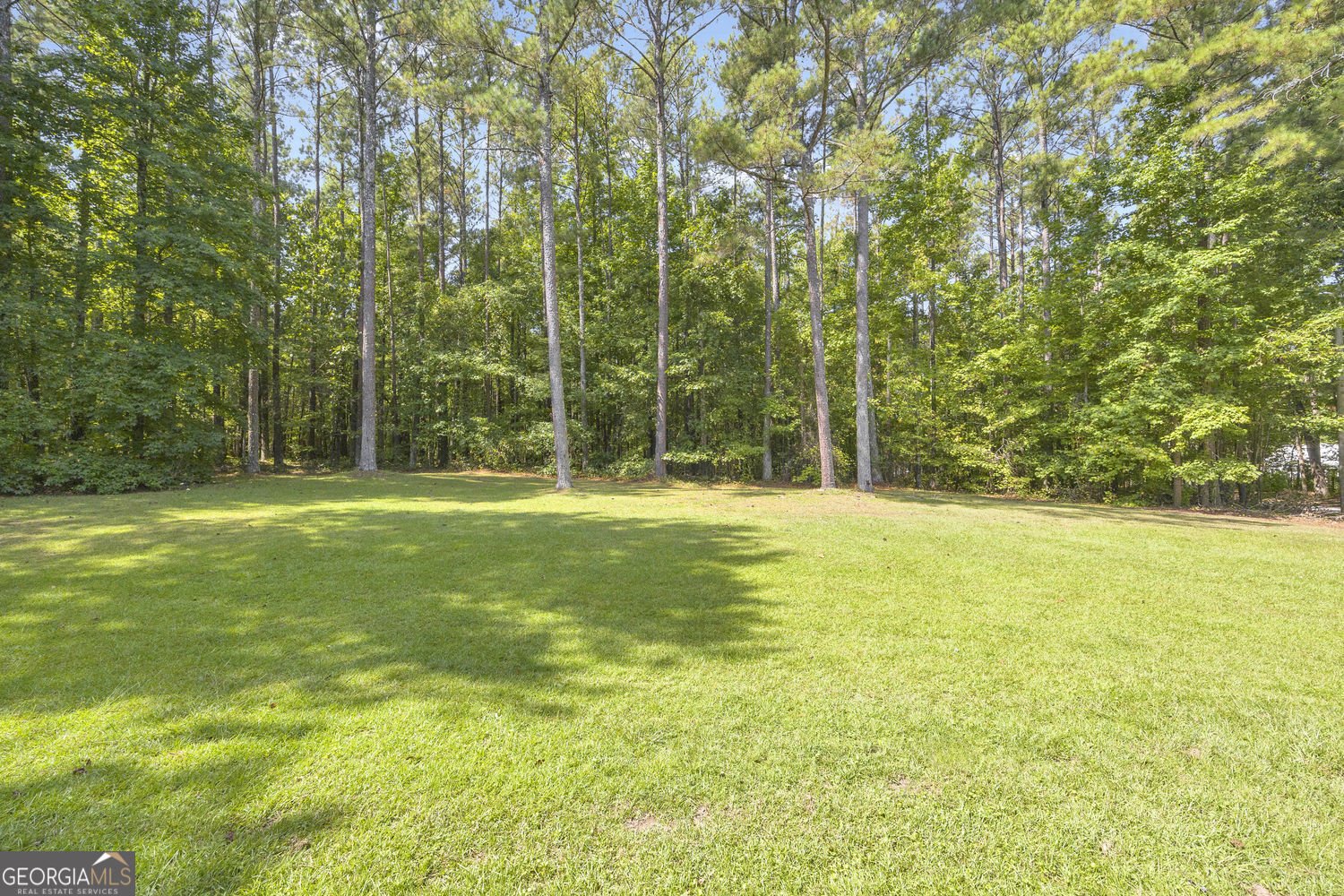 337 Bear Creek Trail Mansfield - Photo 26