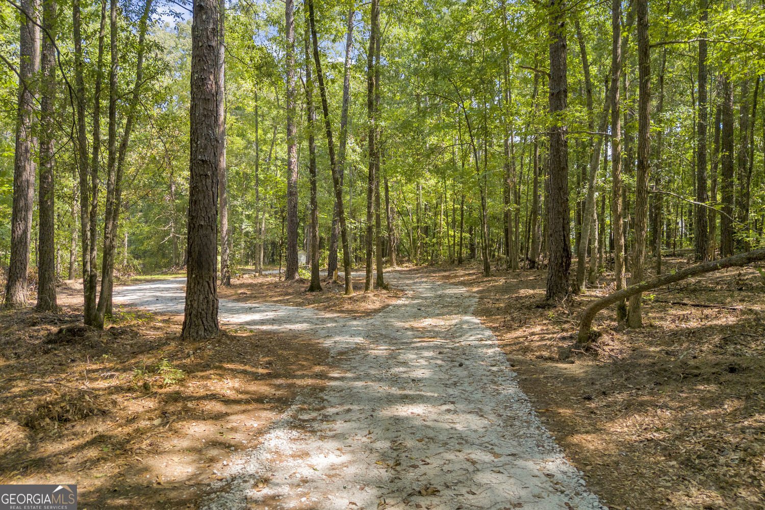 337 Bear Creek Trail Mansfield - Photo 29