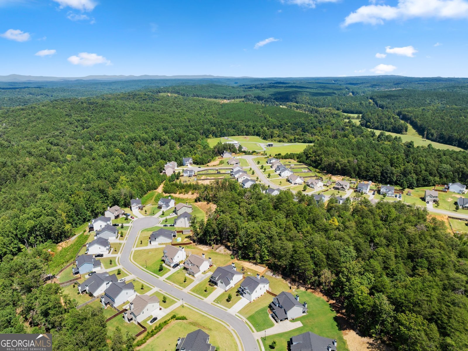 6588 River Station Drive Lula - Photo 45
