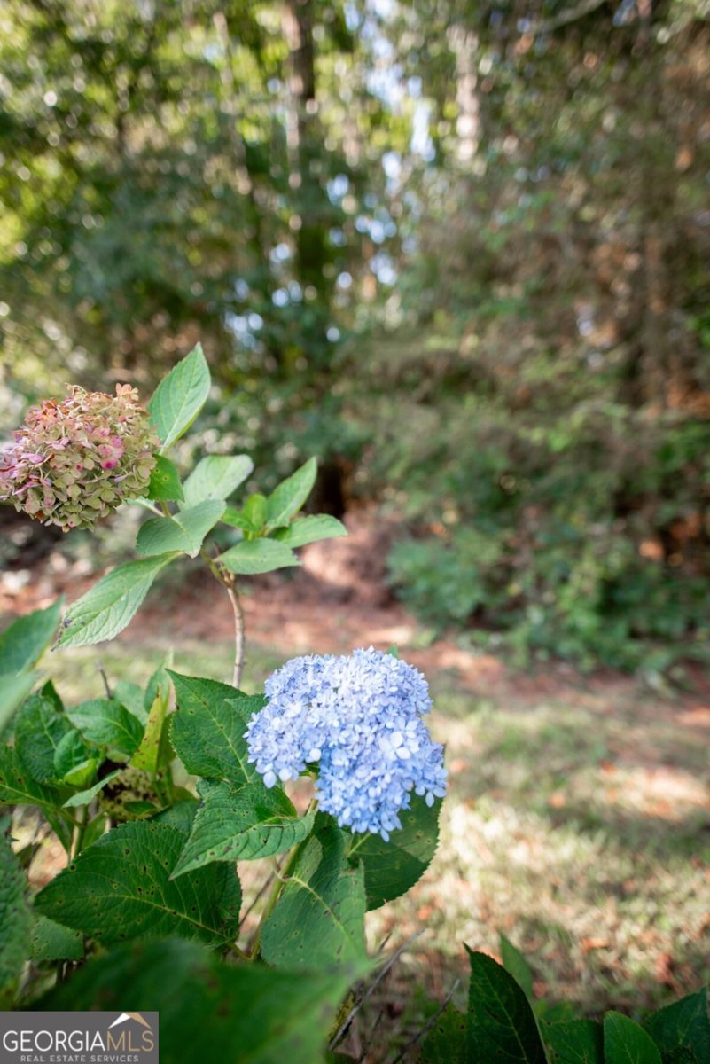 121 Summerplace Drive Winterville - Photo 20