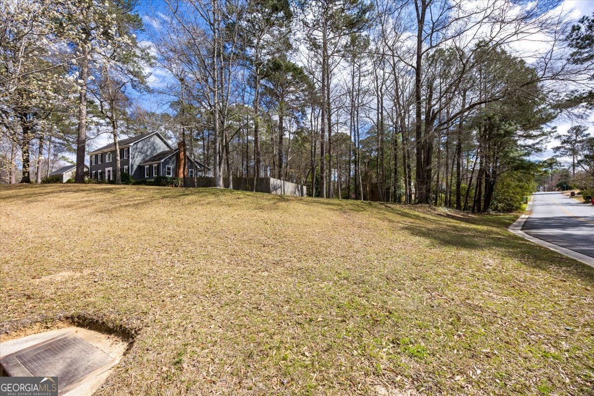 100 Trillium Terrace Macon - Photo 46