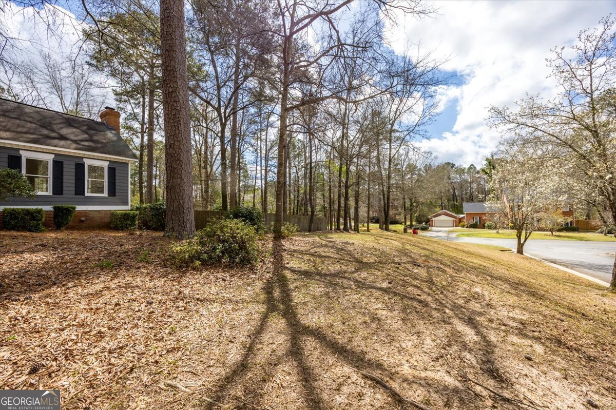 100 Trillium Terrace Macon - Photo 49