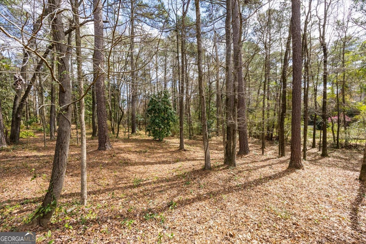 100 Trillium Terrace Macon - Photo 60