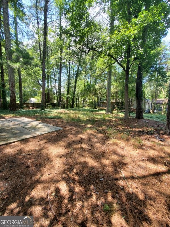 9141 Trail Court Jonesboro - Photo 11