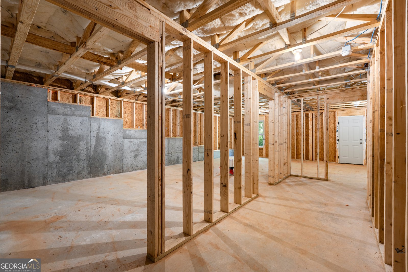 442 The Boulevard Newnan - Photo 48