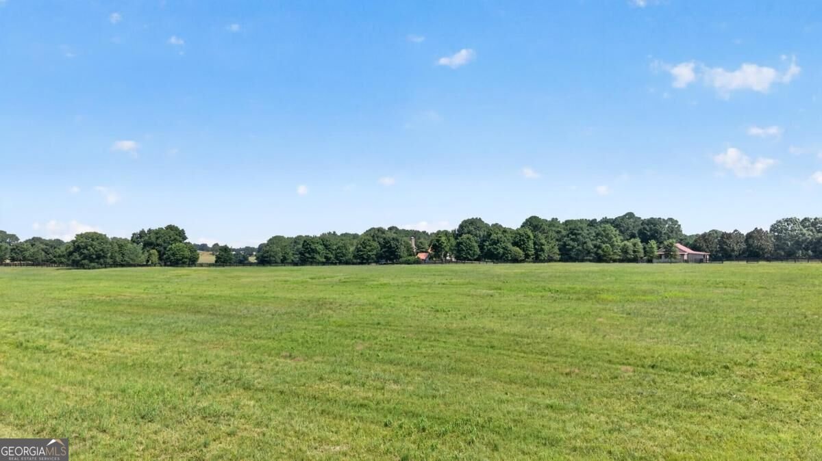 5231 Sandy Creek Road Madison - Photo 58