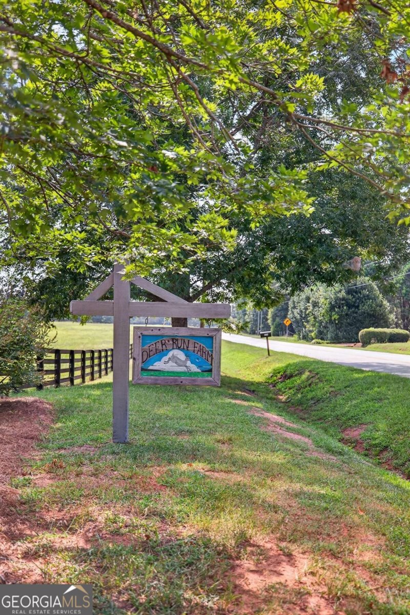 5231 Sandy Creek Road Madison - Photo 60