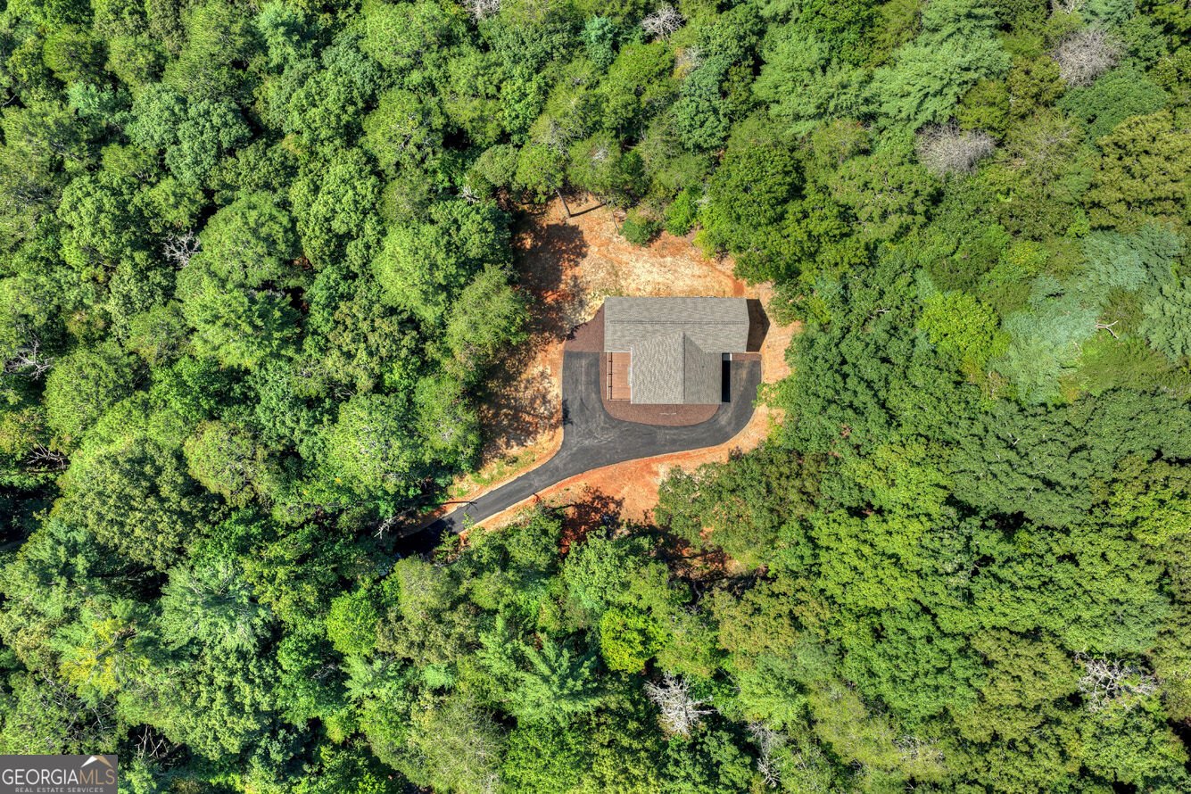 200 Goldmine Road Ellijay - Photo 62
