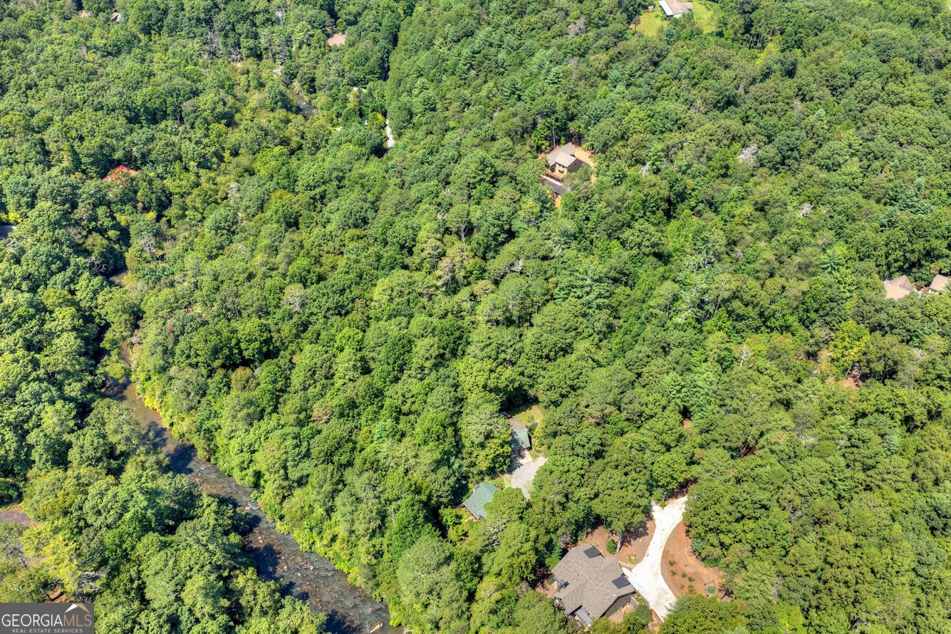 200 Goldmine Road Ellijay - Photo 63