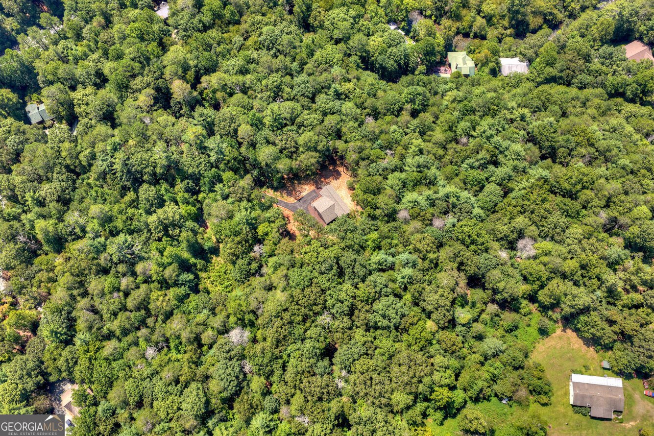 200 Goldmine Road Ellijay - Photo 64