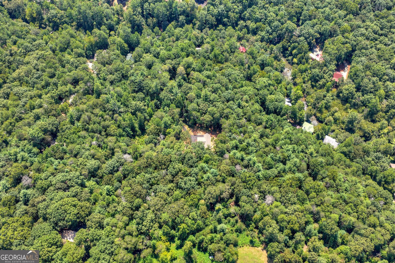 200 Goldmine Road Ellijay - Photo 65