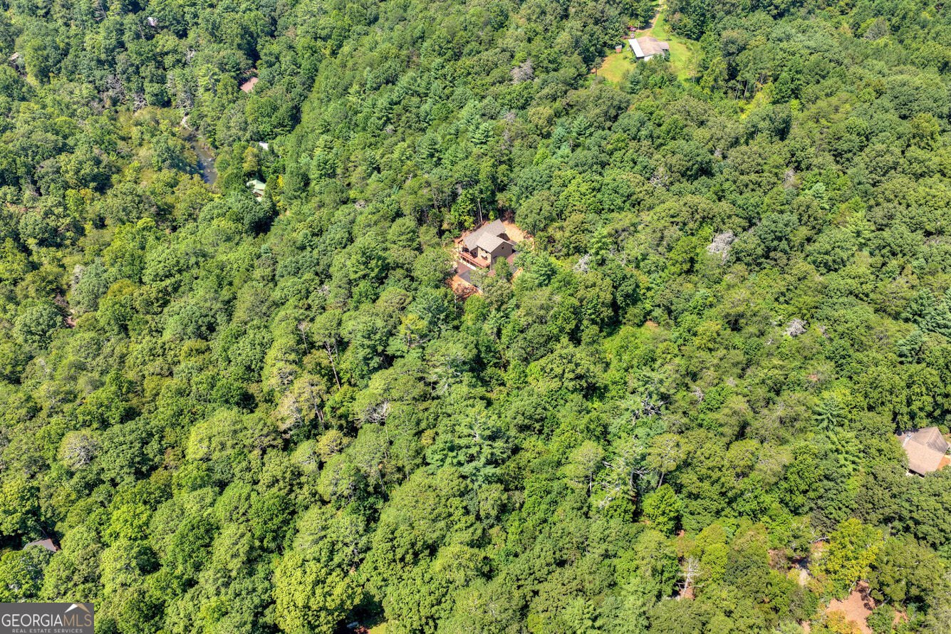 200 Goldmine Road Ellijay - Photo 66