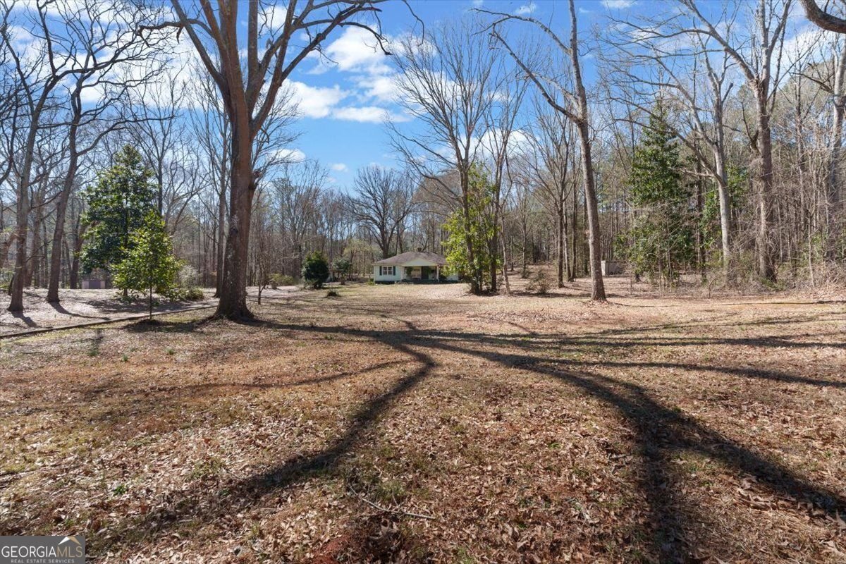 150 Old Hwy 138 Fayetteville - Photo 33