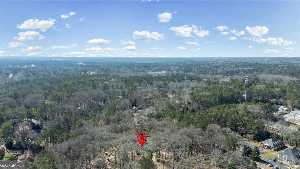 150 Old Hwy 138 Fayetteville - Photo 40