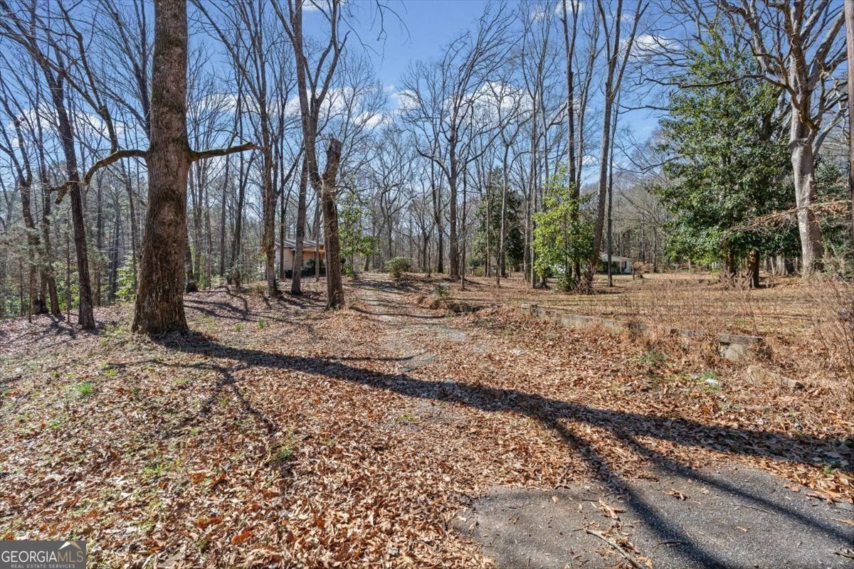150 Old Hwy 138 Fayetteville - Photo 54