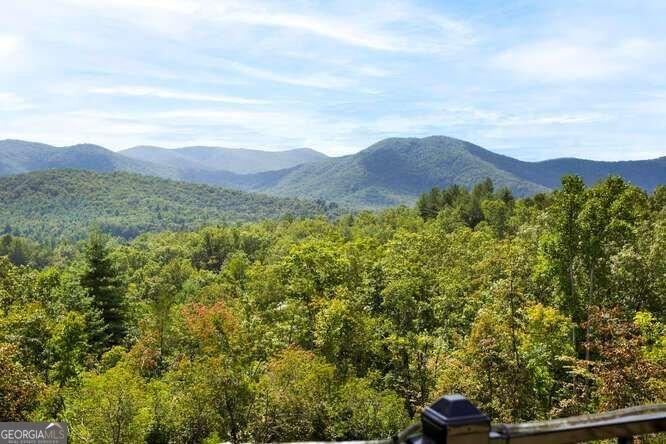 205 Hightower Ridge Drive Hiawassee - Photo 39