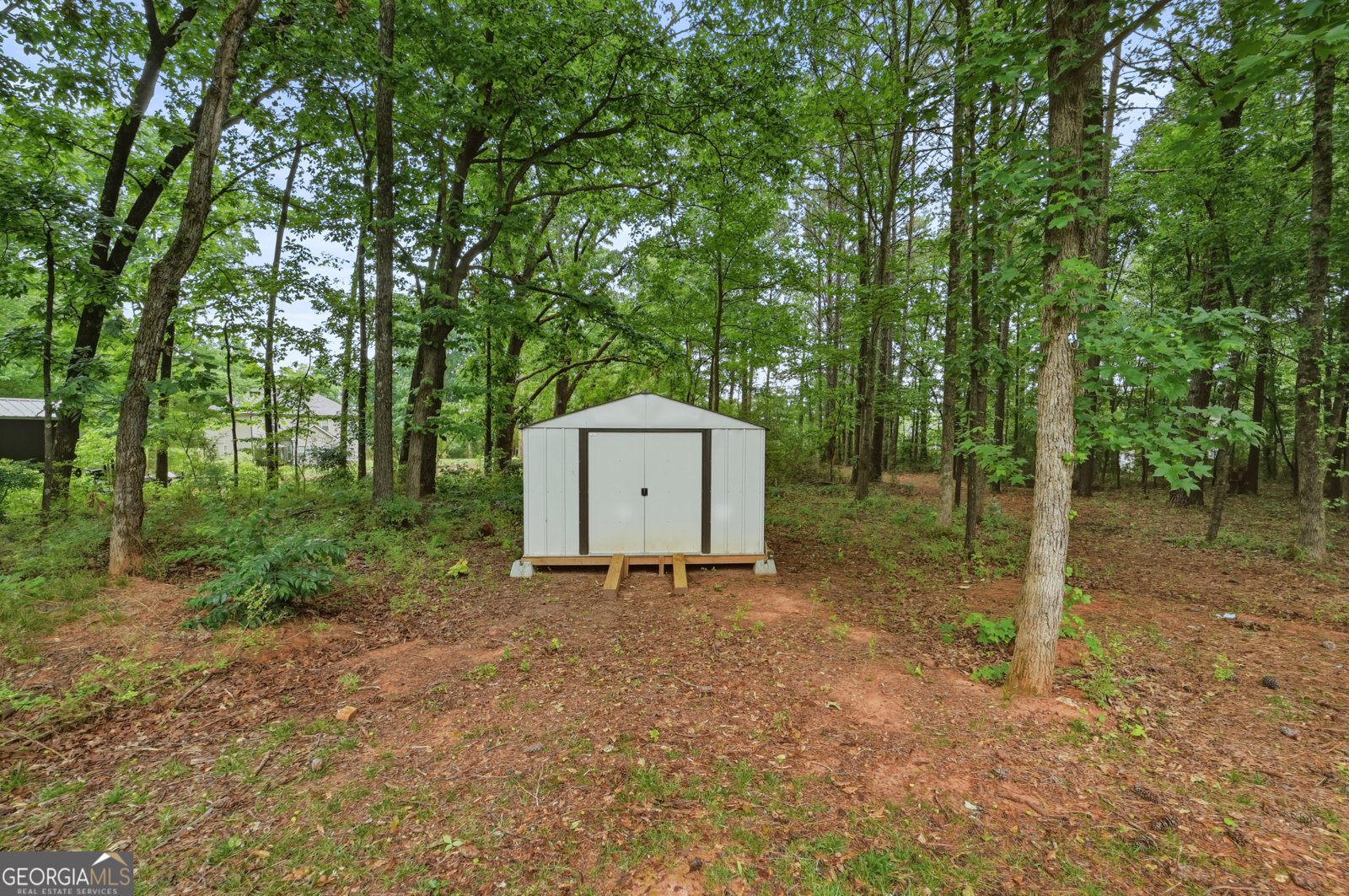 656 East Lake Road McDonough - Photo 50