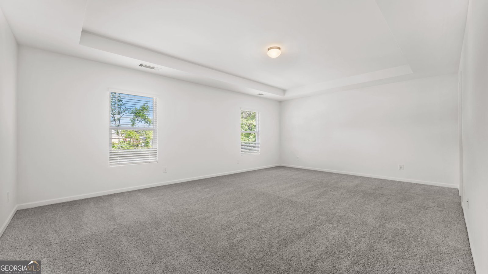 509 Hayes Lane Canton - Photo 8