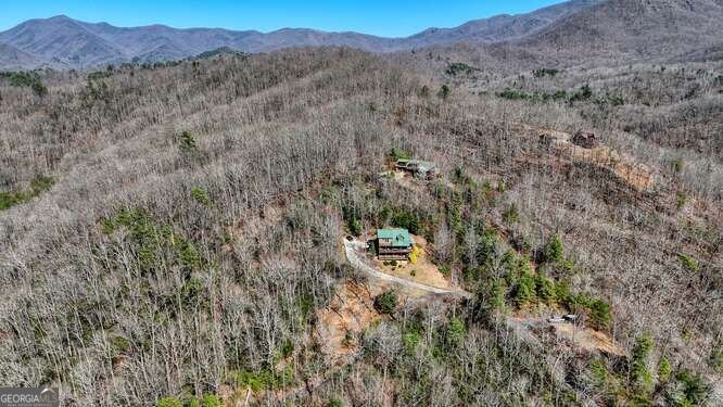 230 Smokin Ridge Hayesville - Photo 47